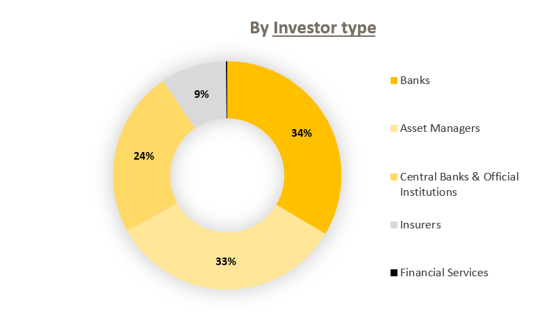 By Investor type