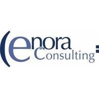 logo Enora consulting