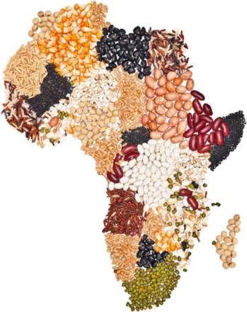 nourrir l'Afrique