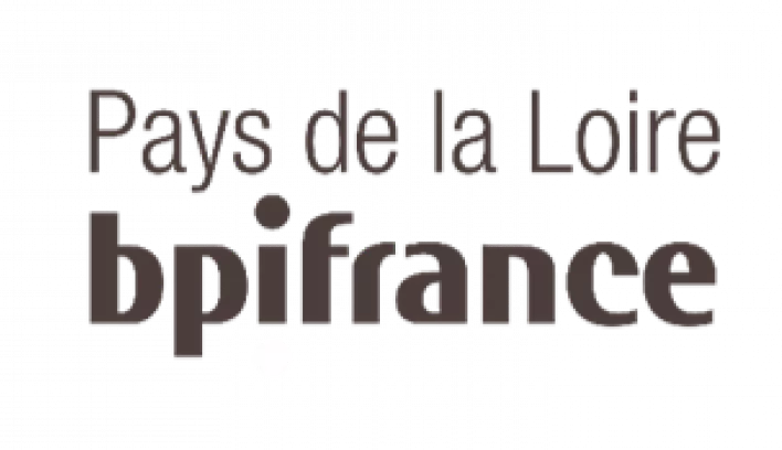 logo PDL Bpifrance
